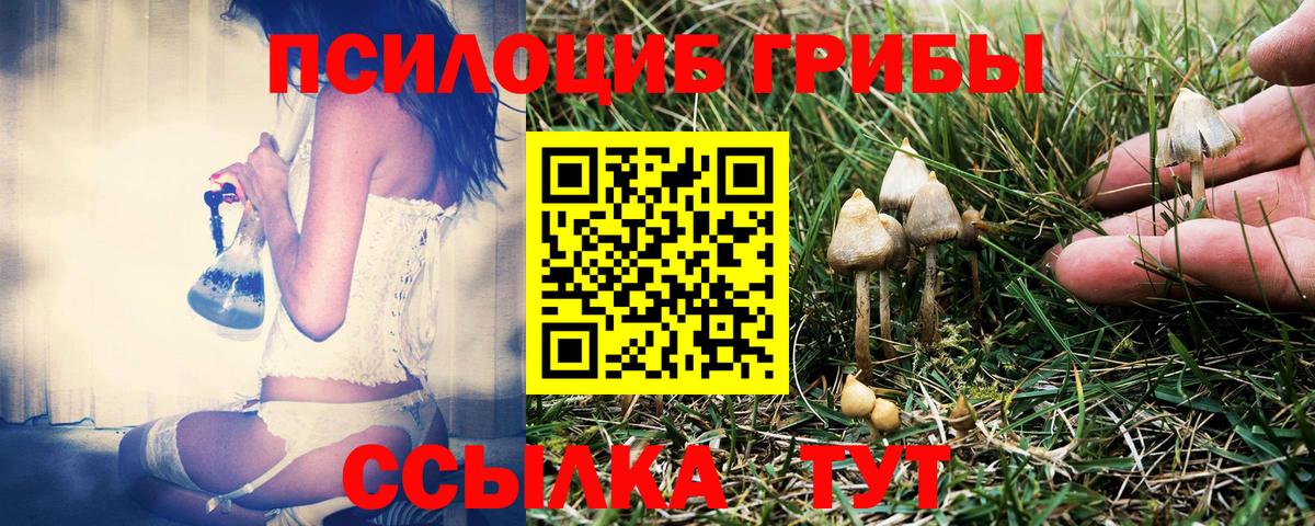 Псилоцибиновые грибы Magic Shrooms  Вход с VPN  Галлюциногенные грибы MAGIC MUSHROOMS  Майкоп 