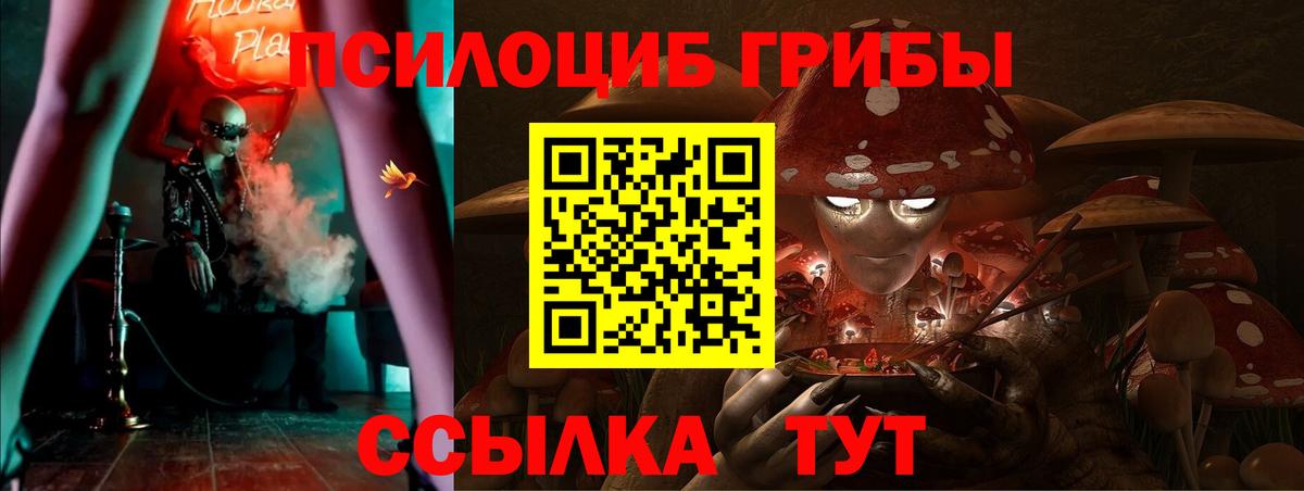 Галлюциногенные грибы ЛСД Майкоп